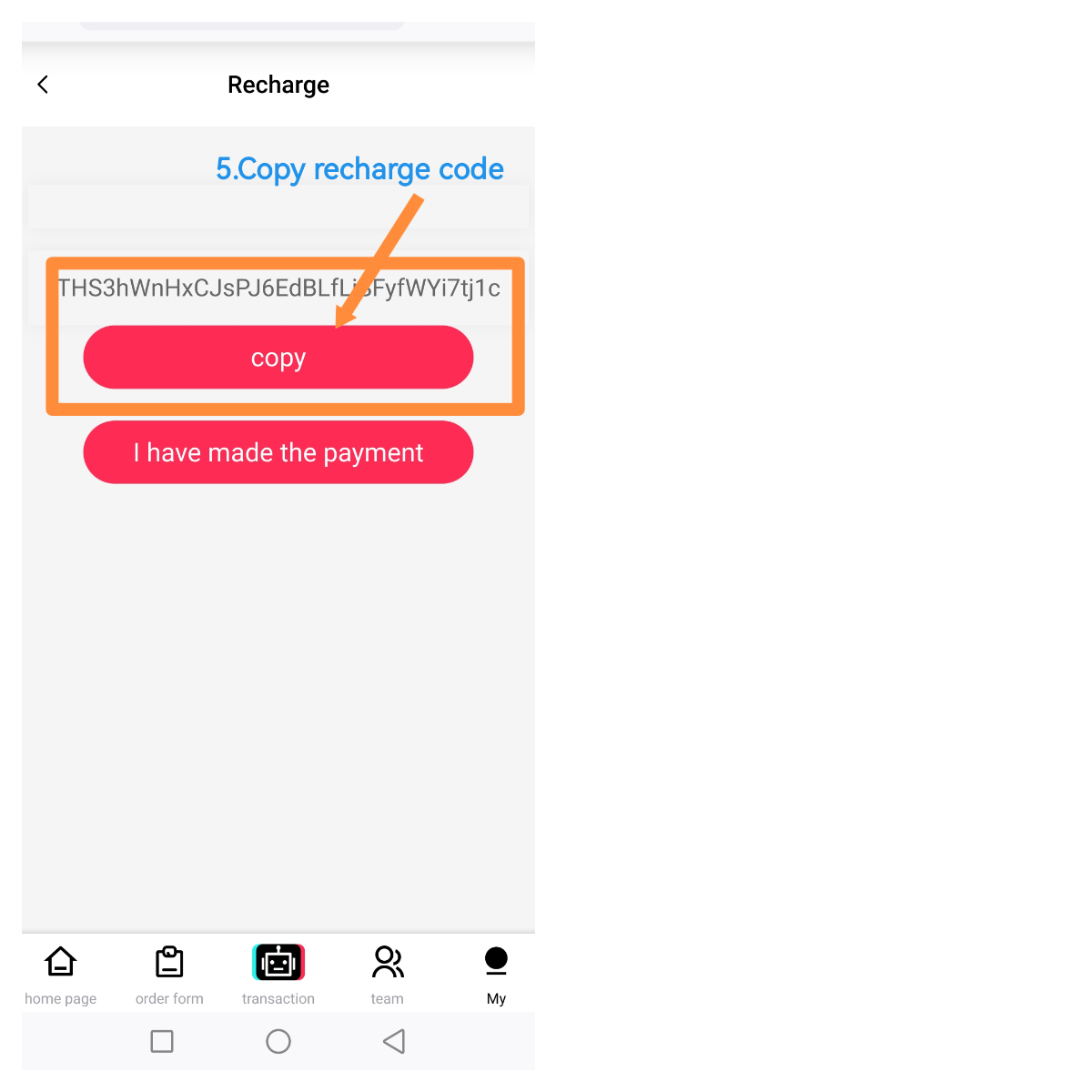 RAYSBOT LIMITED Global Operations